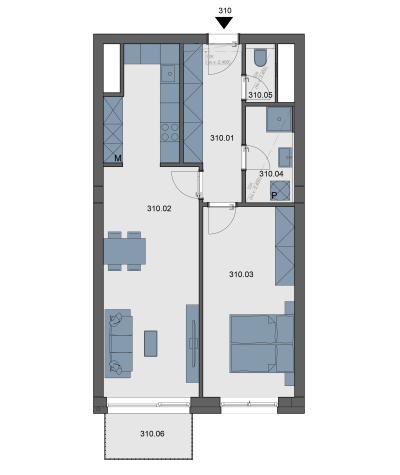 Apartment 310