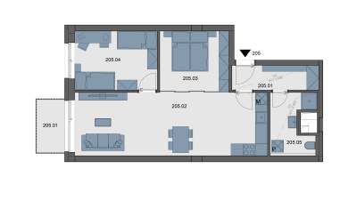 Apartment 205