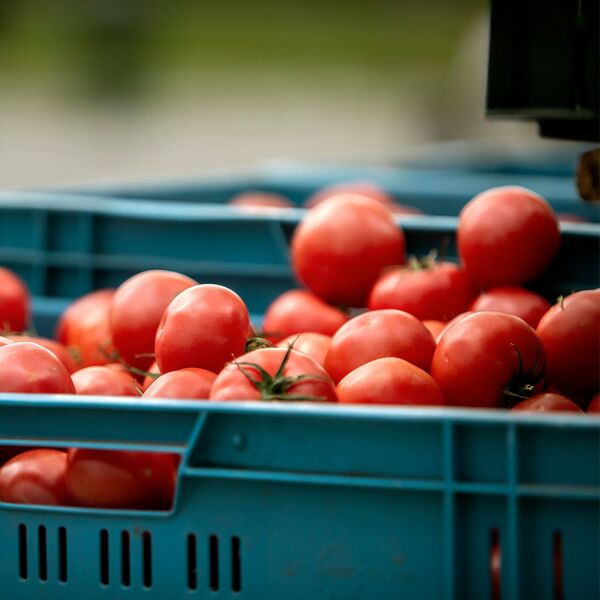 •	Фермерский рынок на Опатове