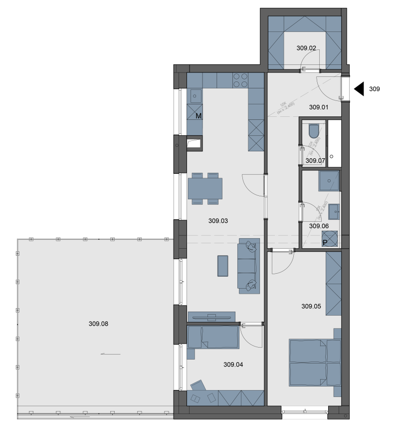 Apartment 309